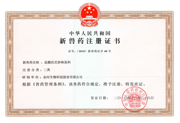 �ƽ�Ǽ��š�(�й���)�ٷ���վ